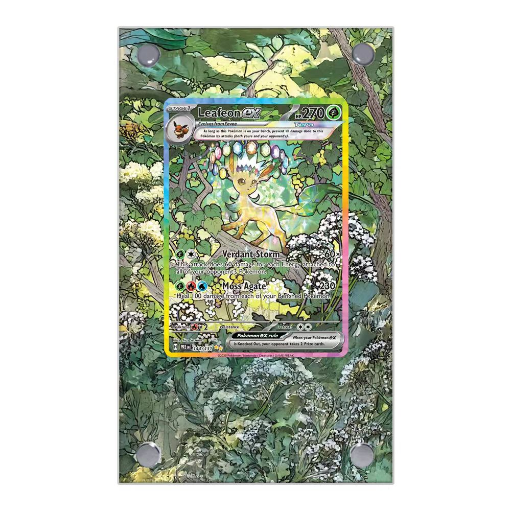 Pokemon Cards Display PTCG Lea - Display Case Acrylic 评论和价格