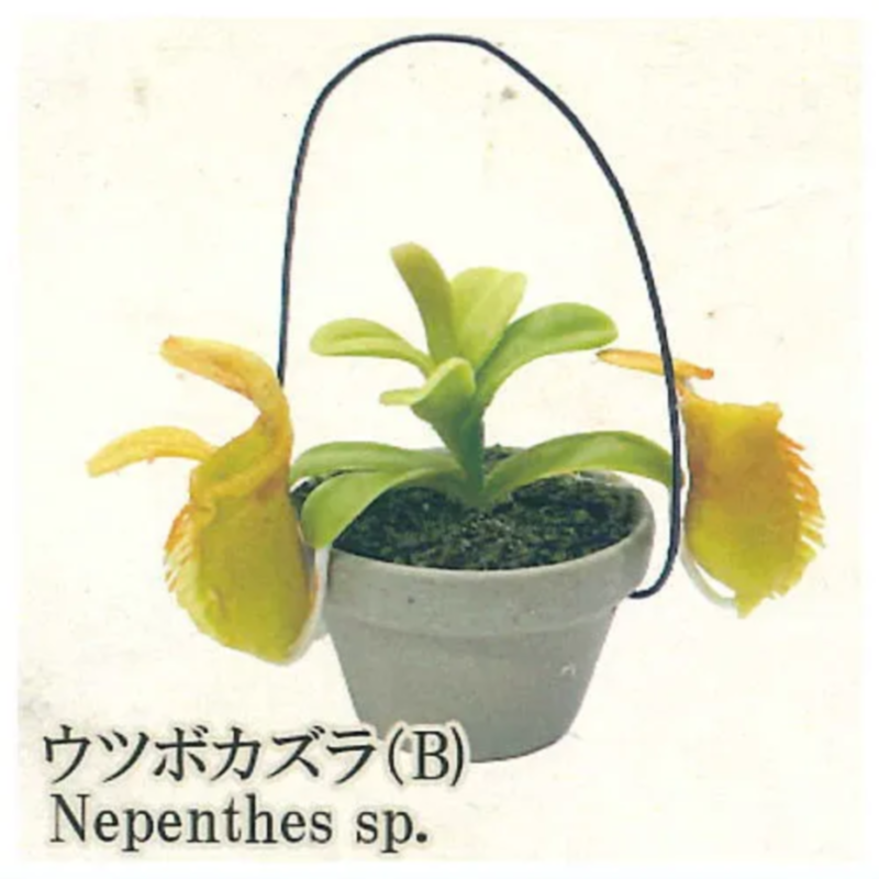 Japan Rainbow Gashapon Capsule - Capsule Toy Gashapon 评论和价格