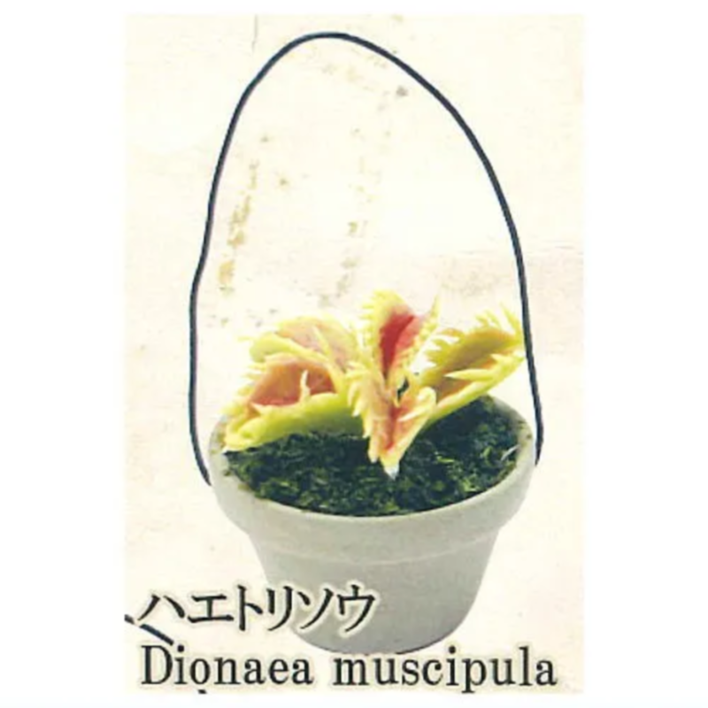 Japan Rainbow Gashapon Capsule - Capsule Toy Gashapon 评论和价格